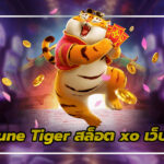สล็อต xo เว็บตรง